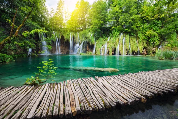 Nyári zöld erdő gyönyörű vízesés — Stock Fotó
