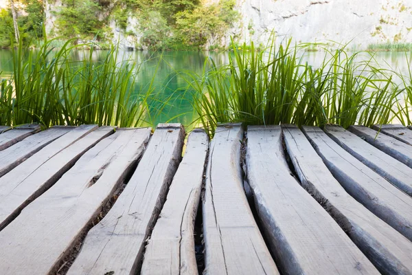 Passarela de madeira e grama verde no parque de nayure — Fotografia de Stock