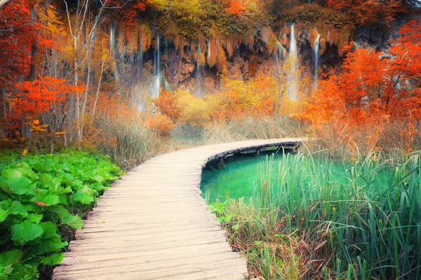 秋天森林中美丽的瀑布 — 图库照片