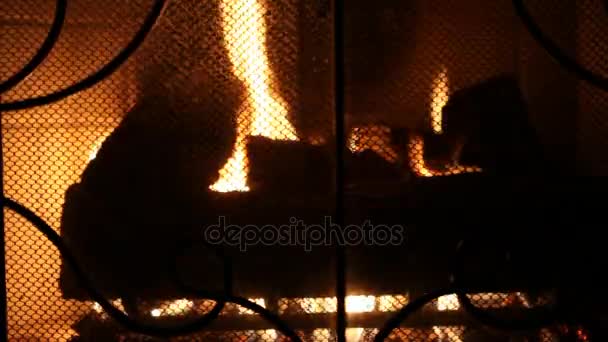 Quema de leña en la chimenea — Vídeos de Stock