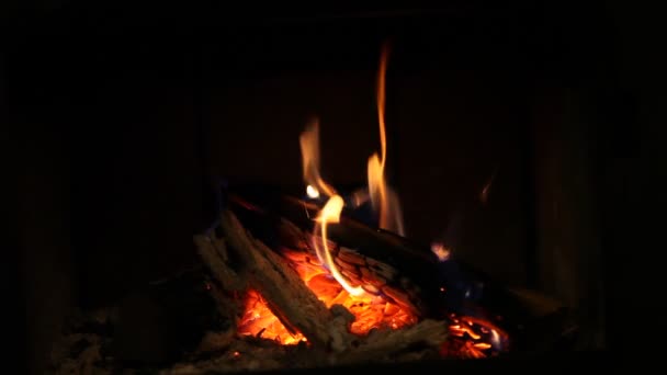 Membakar kayu di perapian — Stok Video