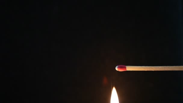 Burning matchstick on black background — Stock Video