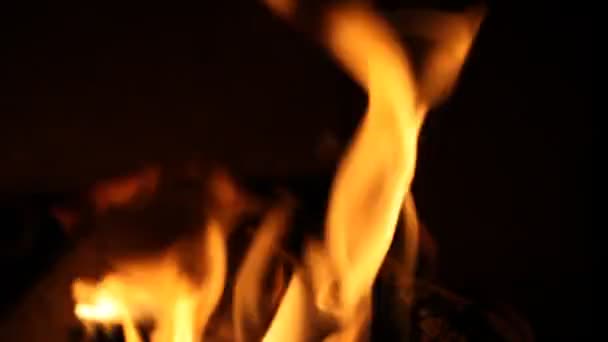 벽난로에서 나무를 태우는 모습 — 비디오