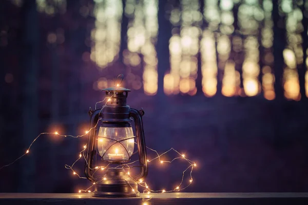 Винтажный волшебный фонарь с огнями в ночном лесу — стоковое фото