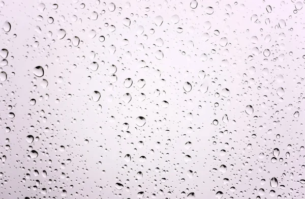 Krople wody na tle szkło biały — Zdjęcie stockowe