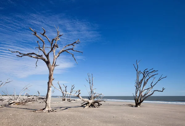 Botany Bay Plajı — Stok fotoğraf