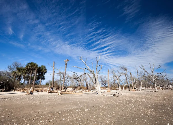 Playa de Botany Bay — Foto de Stock