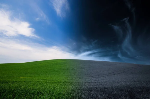 Erba verde e cielo blu notte e giorno sfondo — Foto Stock