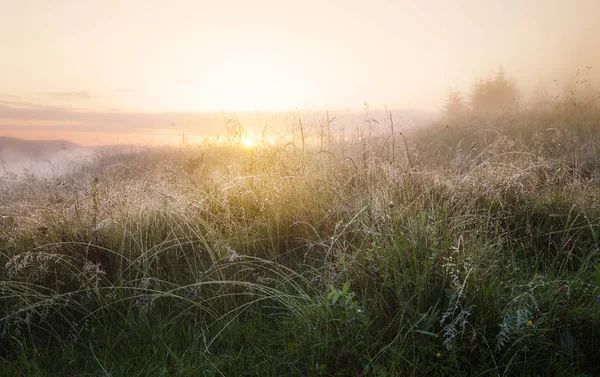 Foggy mountain morning — Stock Photo, Image