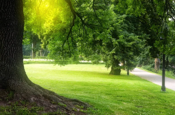 Letni park miejski — Zdjęcie stockowe