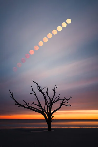 Volle maan stijgt boven Botany Bay strand — Stockfoto