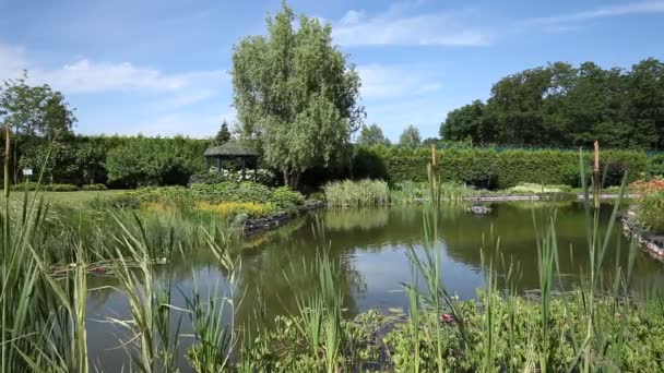 Hermoso lago pequeño. Parque de día de verano paisaje — Vídeo de stock