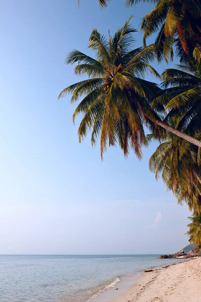 Spiaggia di koh samui — Foto Stock