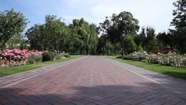 Parque verde de la ciudad. Día soleado de verano — Vídeos de Stock