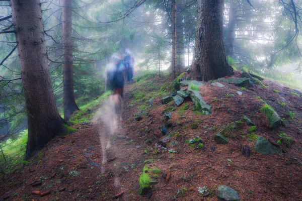 Men going through old foggy forest — Stock Photo, Image