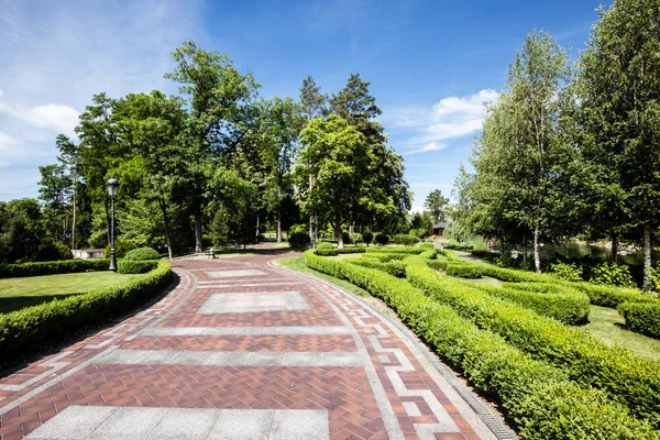 Sommergrüner Stadtpark an sonnigem Tag — Stockfoto