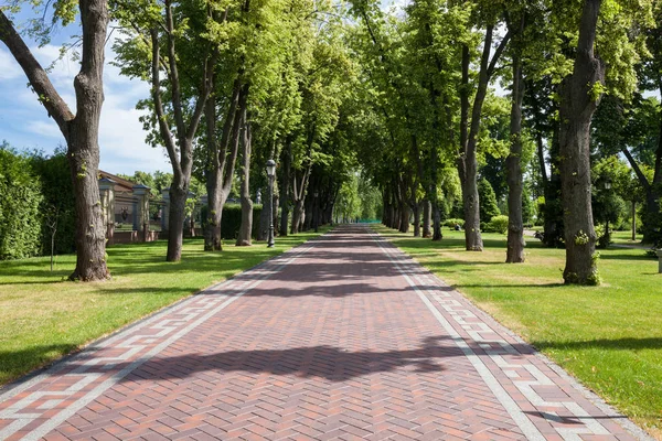 Primavera verde parque de la ciudad en el día soleado —  Fotos de Stock