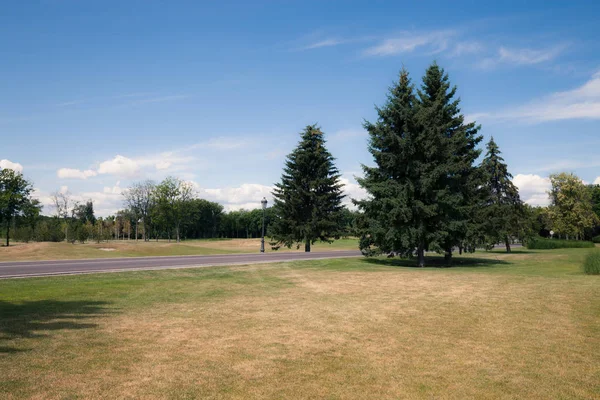 Estrada de Ashalt no parque verde moderno da cidade — Fotografia de Stock