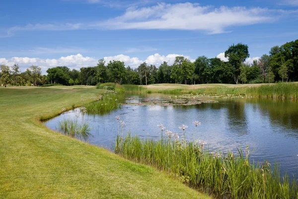 Lake en groen gras gazon in het city park — Stockfoto