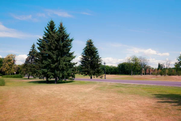 Asfaltweg bij moderne herfst stadspark — Stockfoto