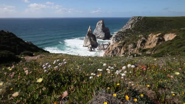 Rocky Atlantic ocean coastline — Stock Video