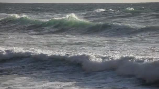Большие океанские волны — стоковое видео