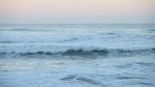 Атлантичний океан хвилі при сходом сонця — стокове відео