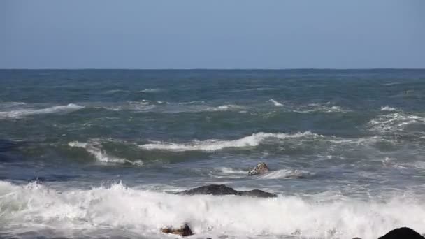 Océano grandes olas rompiendo costa rocosa — Vídeos de Stock