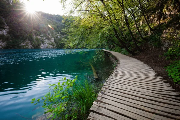 Napfényes zöld erdő gyönyörű tóra fa út — Stock Fotó