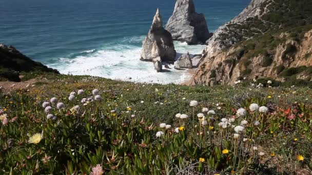 Strand Praia da Ursa op zonnige dag — Stockvideo