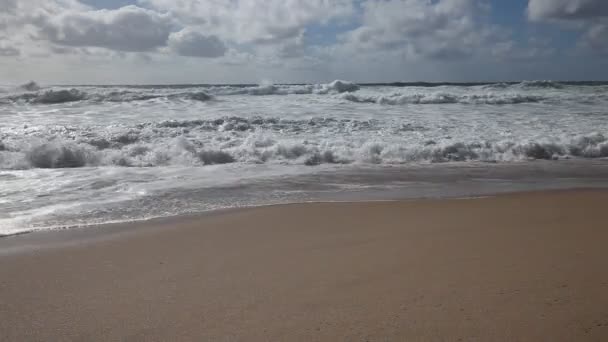 Océan grosses vagues s'écrasant côte rocheuse — Video