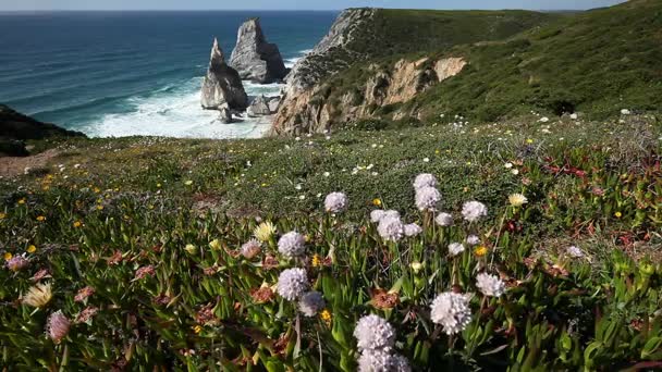 Красивый пляж Praia da Ursa в солнечный летний день — стоковое видео