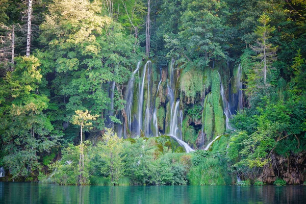 美しい夏の森の滝 — ストック写真