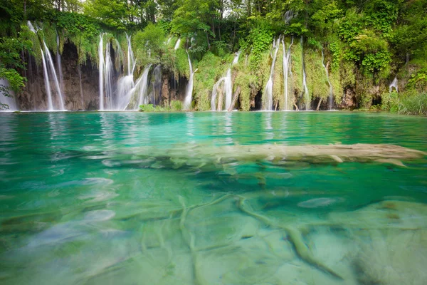 美しい夏の緑の森の滝 — ストック写真