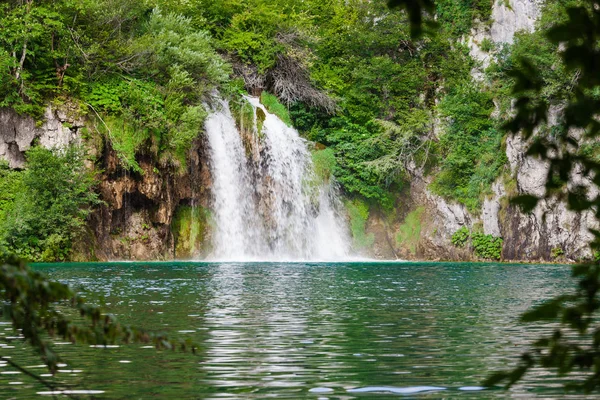 Belle cascade de forêt verte d'été — Photo