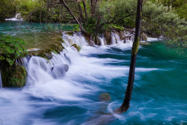 Cachoeira linda floresta verde verão — Fotografia de Stock