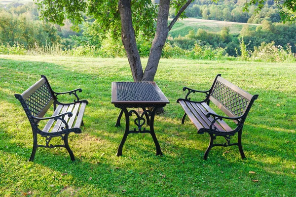 Table and chairs at summer green garden — Stock Photo, Image