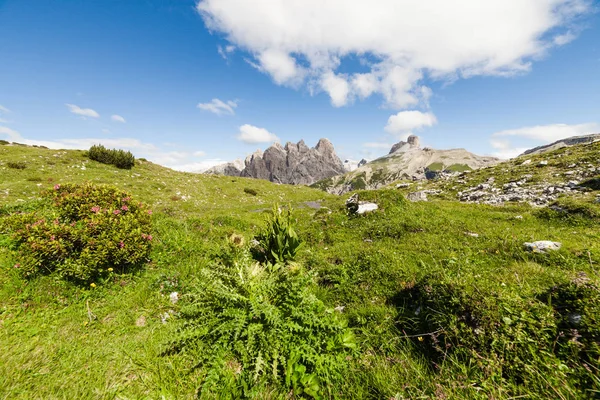Yaz Alpin çayır dağ panorama — Stok fotoğraf