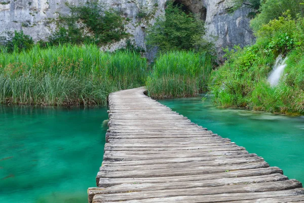 Fából készült kerti ösvény gyönyörű tóra — Stock Fotó