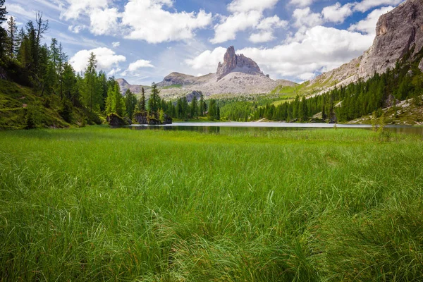 Alpine mountain summer lake — Stock Photo, Image