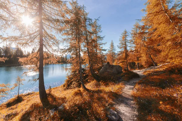 Alpine fall colors mountain lake at sunny day — Stock Photo, Image