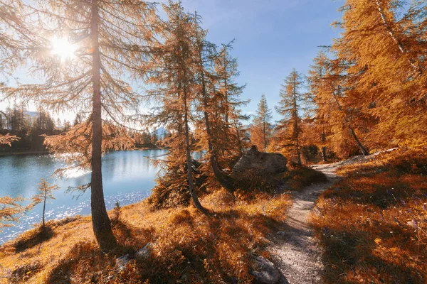 Colores alpinos caída lago de montaña en día soleado — Foto de Stock