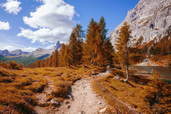Montaña alpina otoño paisaje — Foto de Stock