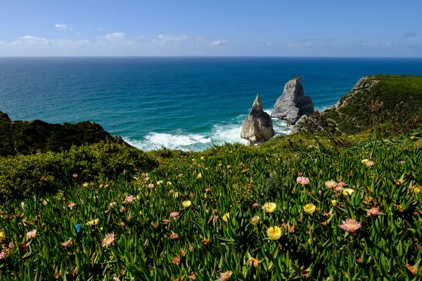 Güzel yaz güneşli gün kumsalda Praia da büyük ayı — Stok fotoğraf