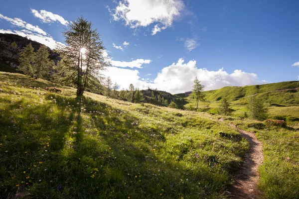 Sommar alpina steniga kullar panorama — Stockfoto