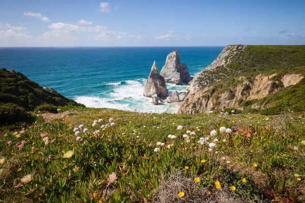 Hermosa playa Praia da Ursa en verano día soleado — Foto de Stock