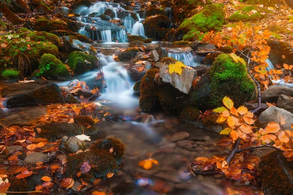秋の森の小さなクリーク — ストック写真