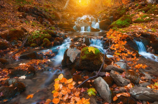 Hösten skogen liten bäck — Stockfoto