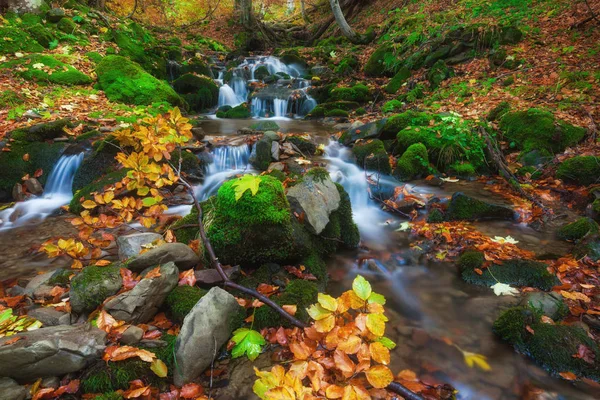 Bosque de otoño pequeño arroyo — Foto de Stock