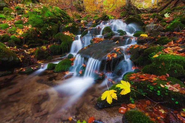 Осенний лесной ручей — стоковое фото